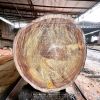 Chia sẻ về cách chọn gỗ trong làm nhà cổ truyền Bắc Bộ