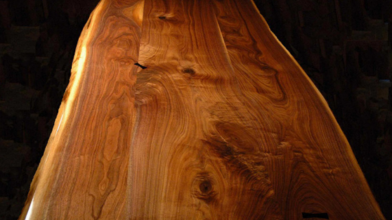 Vân gỗ - Vẻ đẹp kỳ diệu của tự nhiên